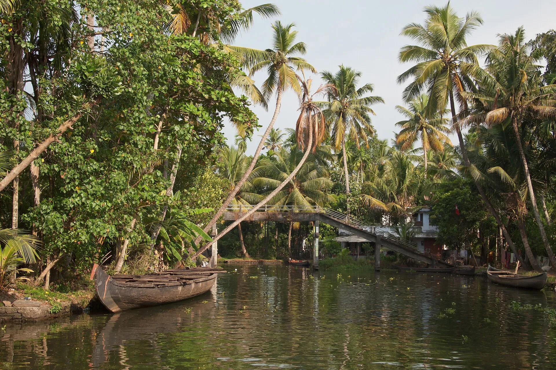 International Trips with Tripper Trails
