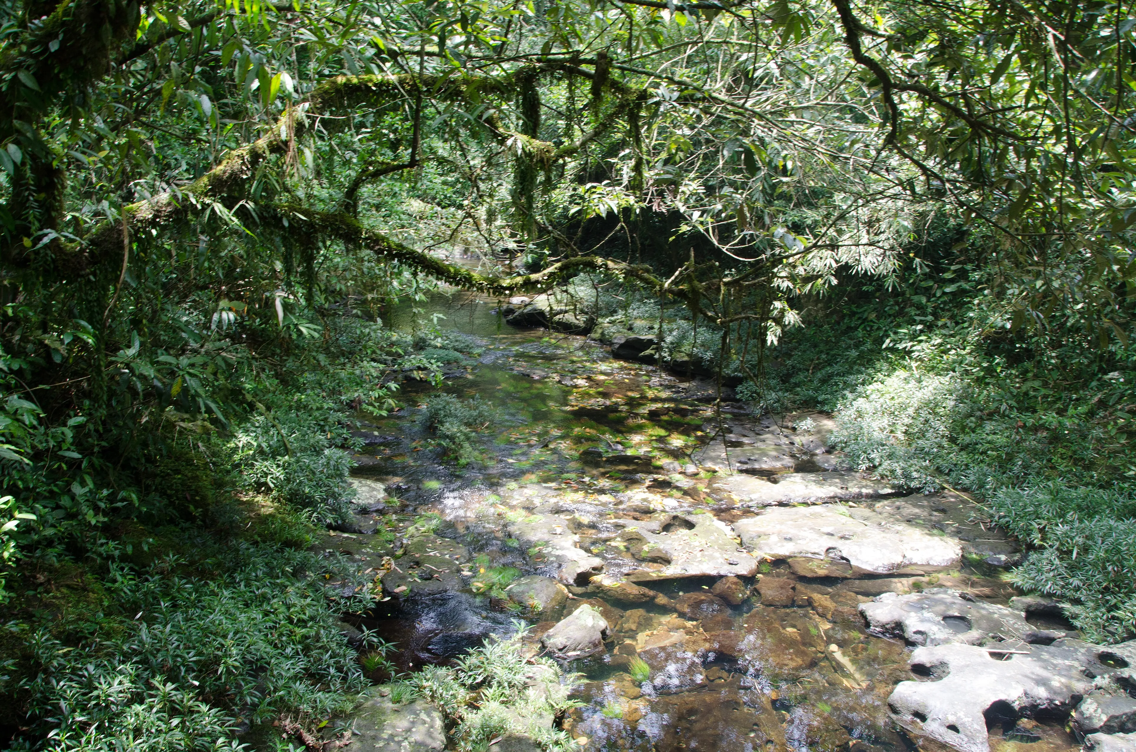Meghalaya — North East India
