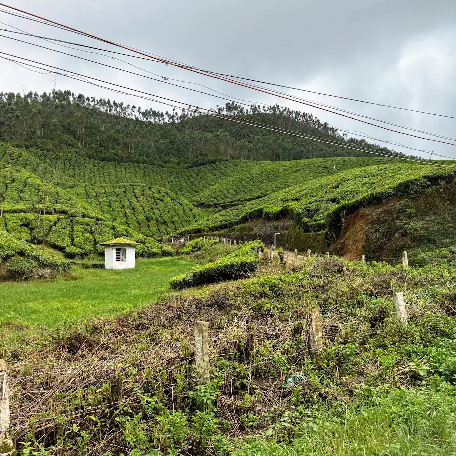 Munnar — Kerala